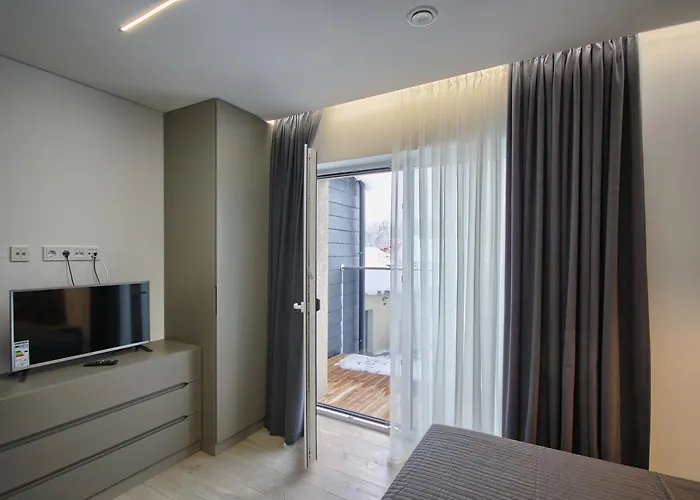 Nikolas Apartamentai - Birstono 7 Διαμέρισμα Ντρουσκινινκάι